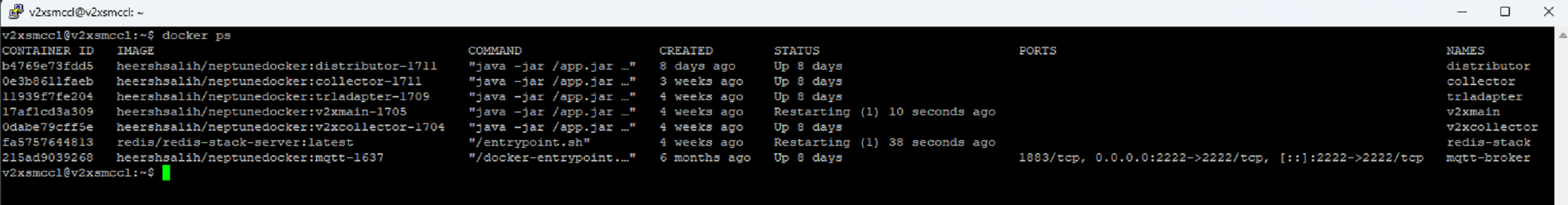 Docker containers on server screenshot
